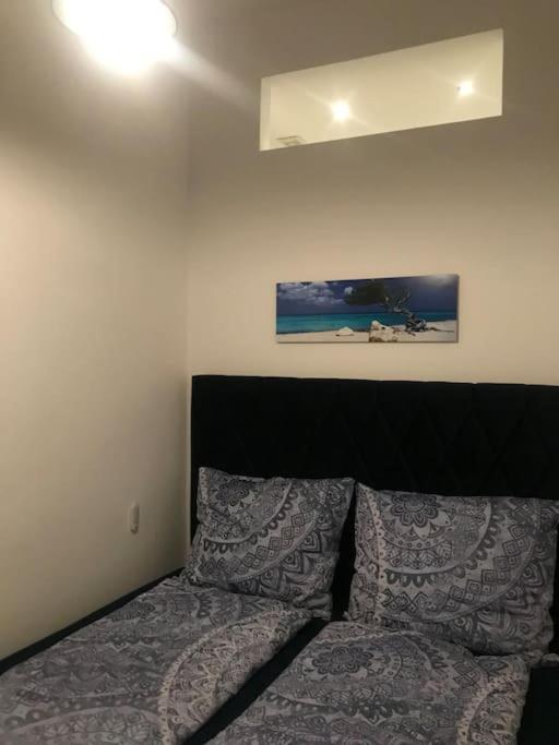 Klimatisierte Sehr Zentrale Wohnung-Loftstyle- Wien Eksteriør billede