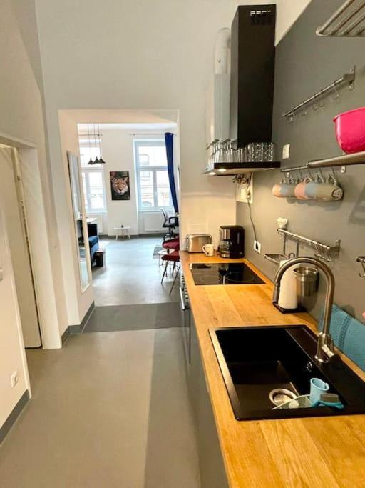 Klimatisierte Sehr Zentrale Wohnung-Loftstyle- Wien Eksteriør billede